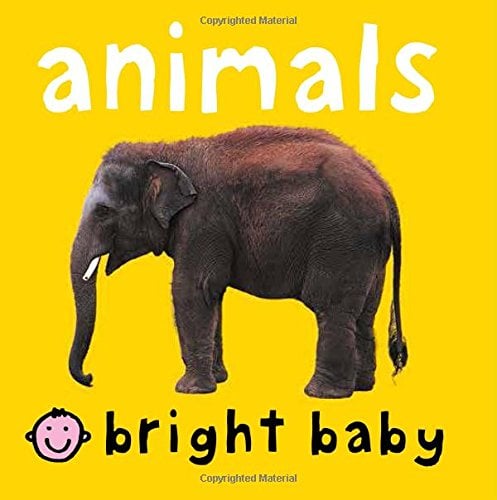 Animals