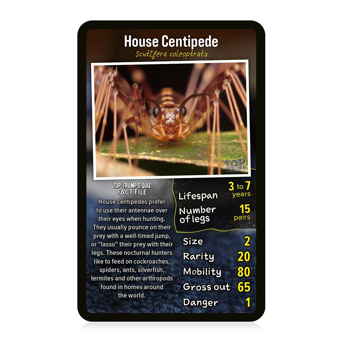 Creepy Crawlies Top Trumps Card Game - Trò Chơi Thẻ Bài Giáo Dục Côn Trùng - Winning Moves - Hình ảnh chi tiết 2