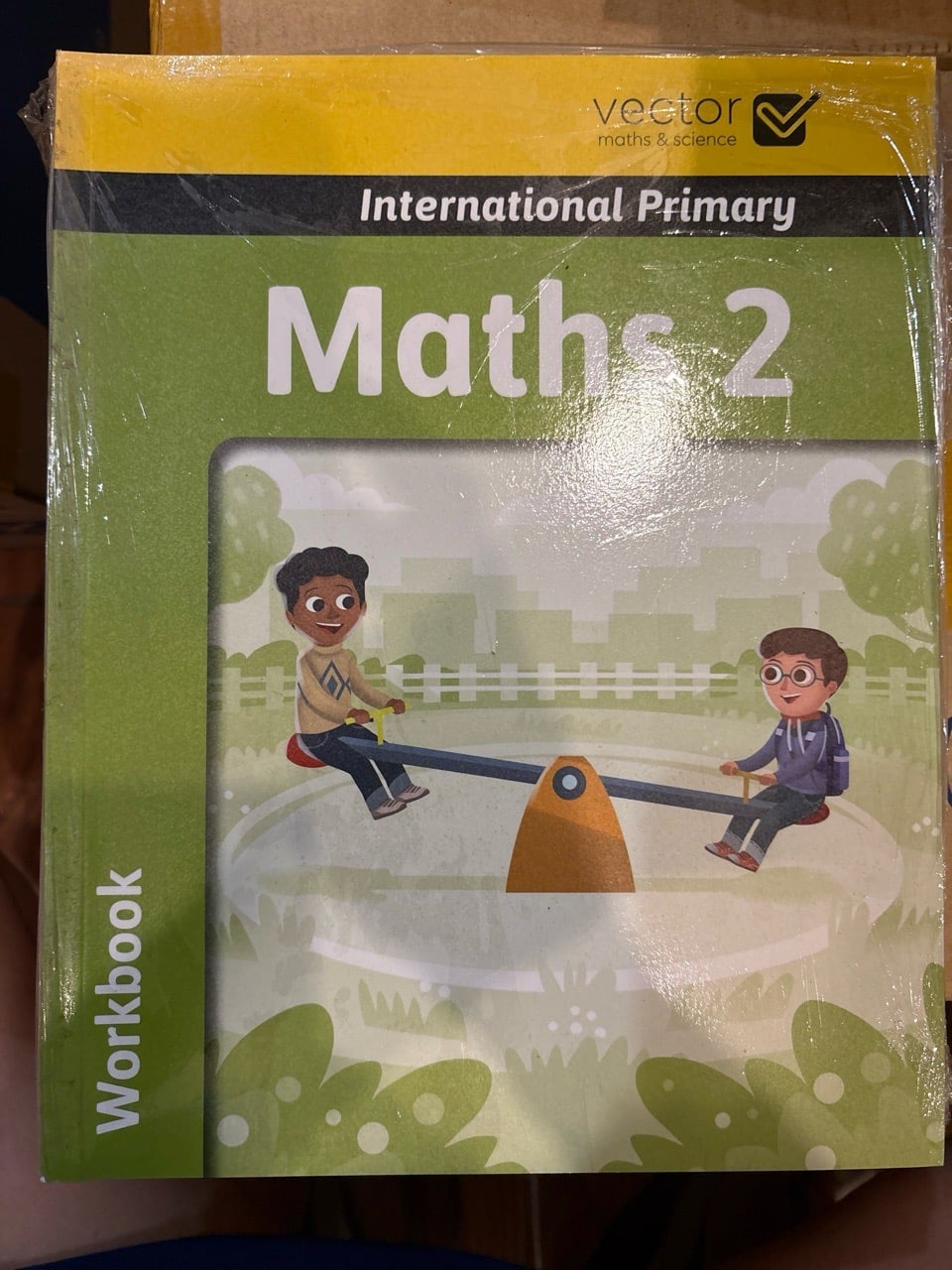 MATHS 2 International Primary WB