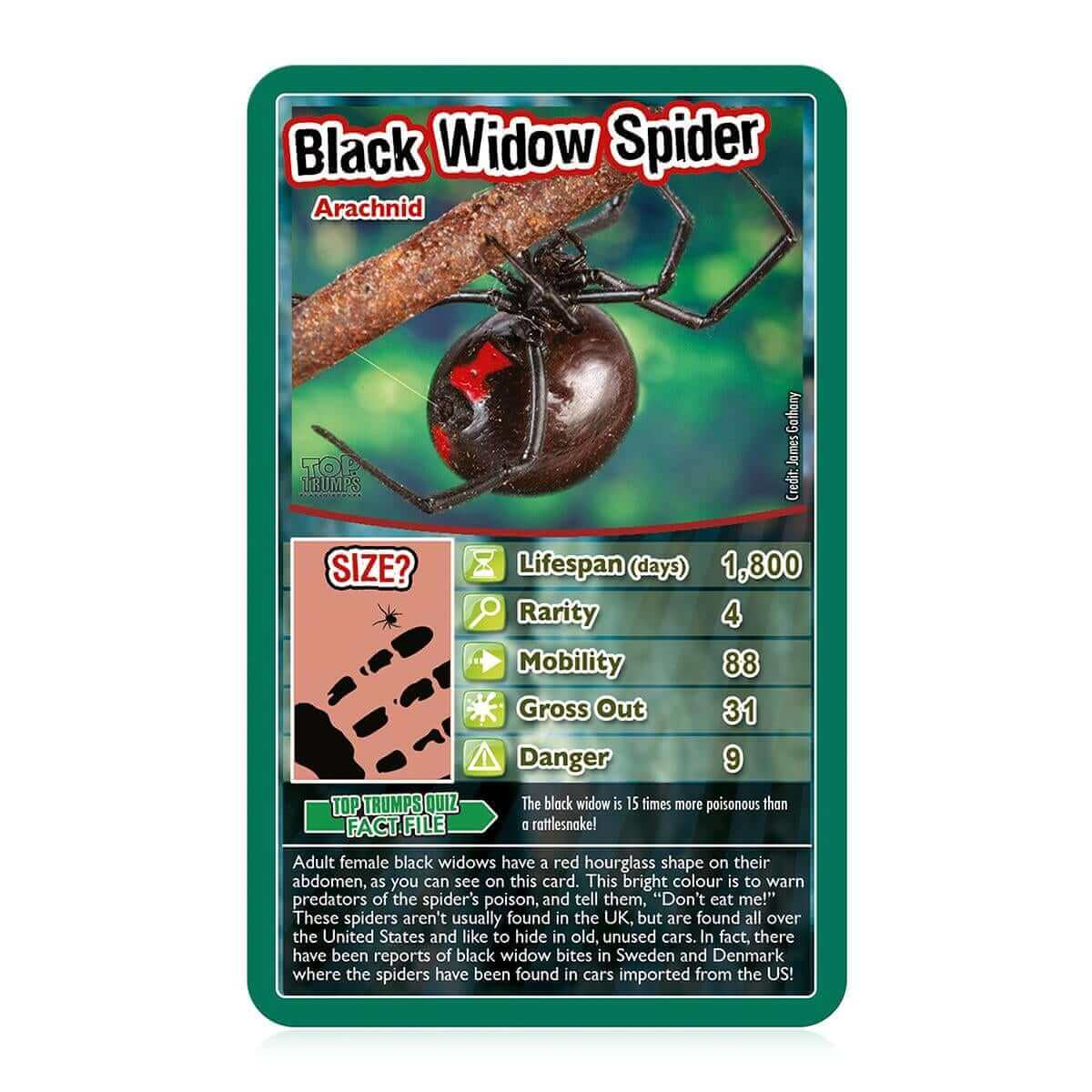 Bugs Top Trumps Card Game - Trò chơi thẻ bài côn trùng - Winning Moves - Góc nhìn khác 3