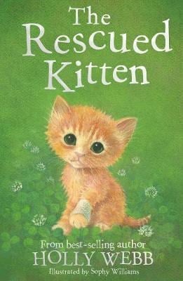 The rescued kitten
