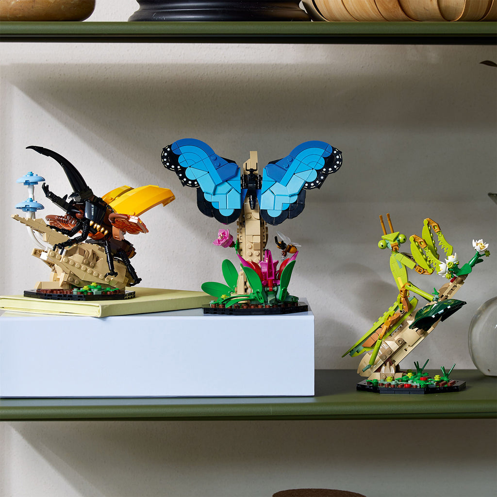 LEGO® Ideas The Insect Collection - Bộ Đồ Chơi Lắp Ráp Côn Trùng - LEGO 21342 - Hình ảnh bổ sung 5