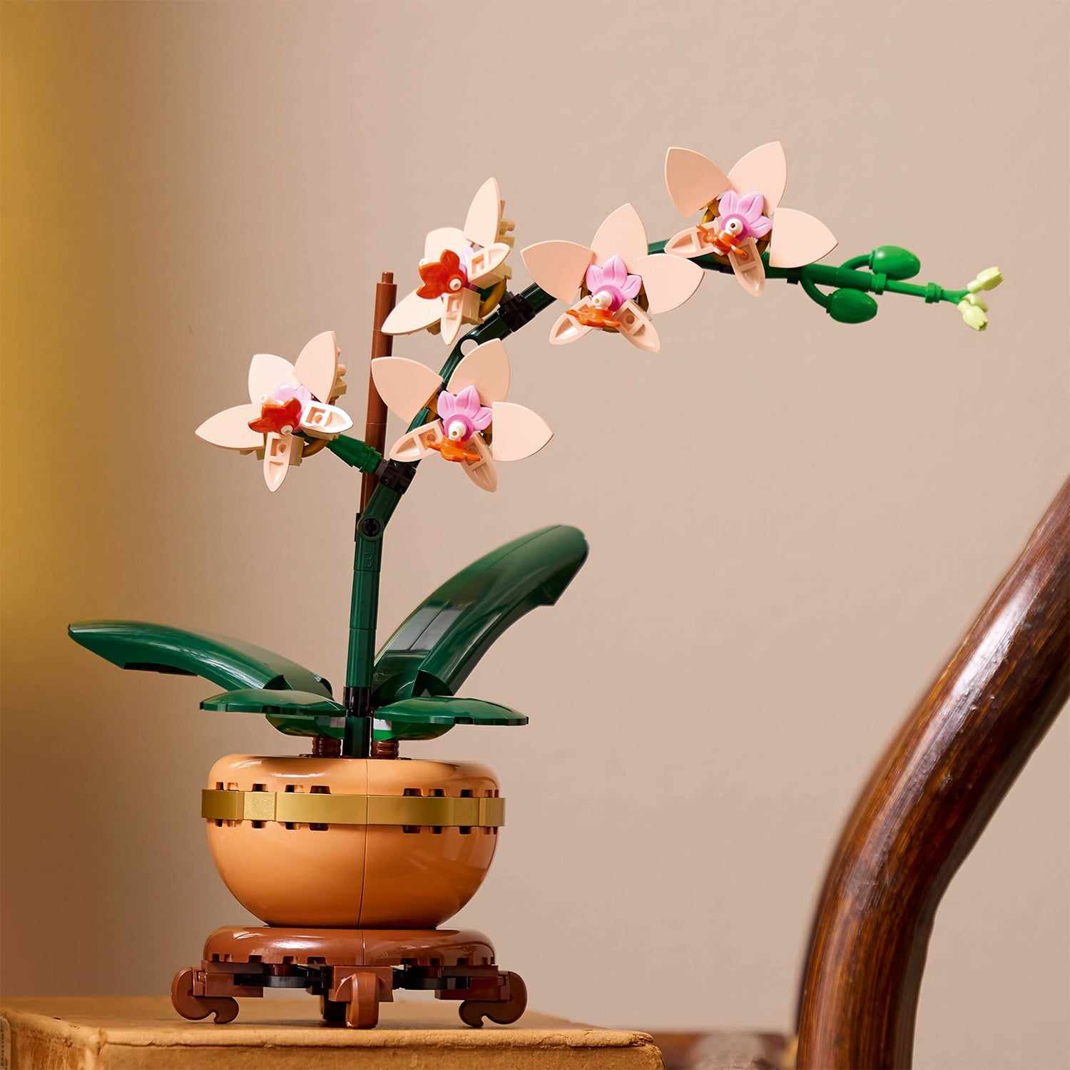 LEGO® Botanicals Mini Orchid - Mô Hình Hoa Lan Mini Trang Trí - LEGO 10343 - Hình ảnh bổ sung 5