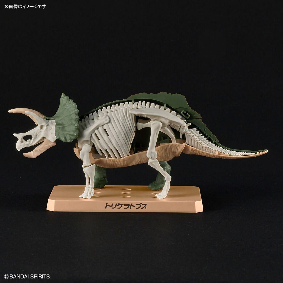 PLANNOSAURUS Triceratops - Mô hình lắp ráp khủng long - Bandai Model Kit