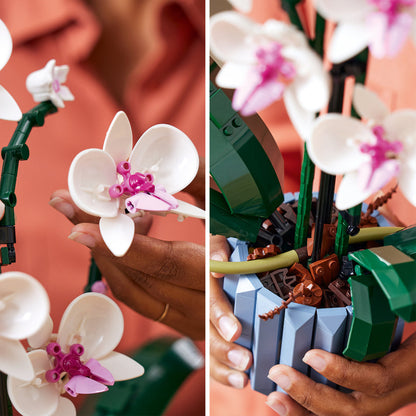 LEGO® Orchid - Bộ Đồ Chơi Lắp Ráp Hoa Lan Tinh Tế - LEGO 10311 - Hình ảnh bổ sung 6