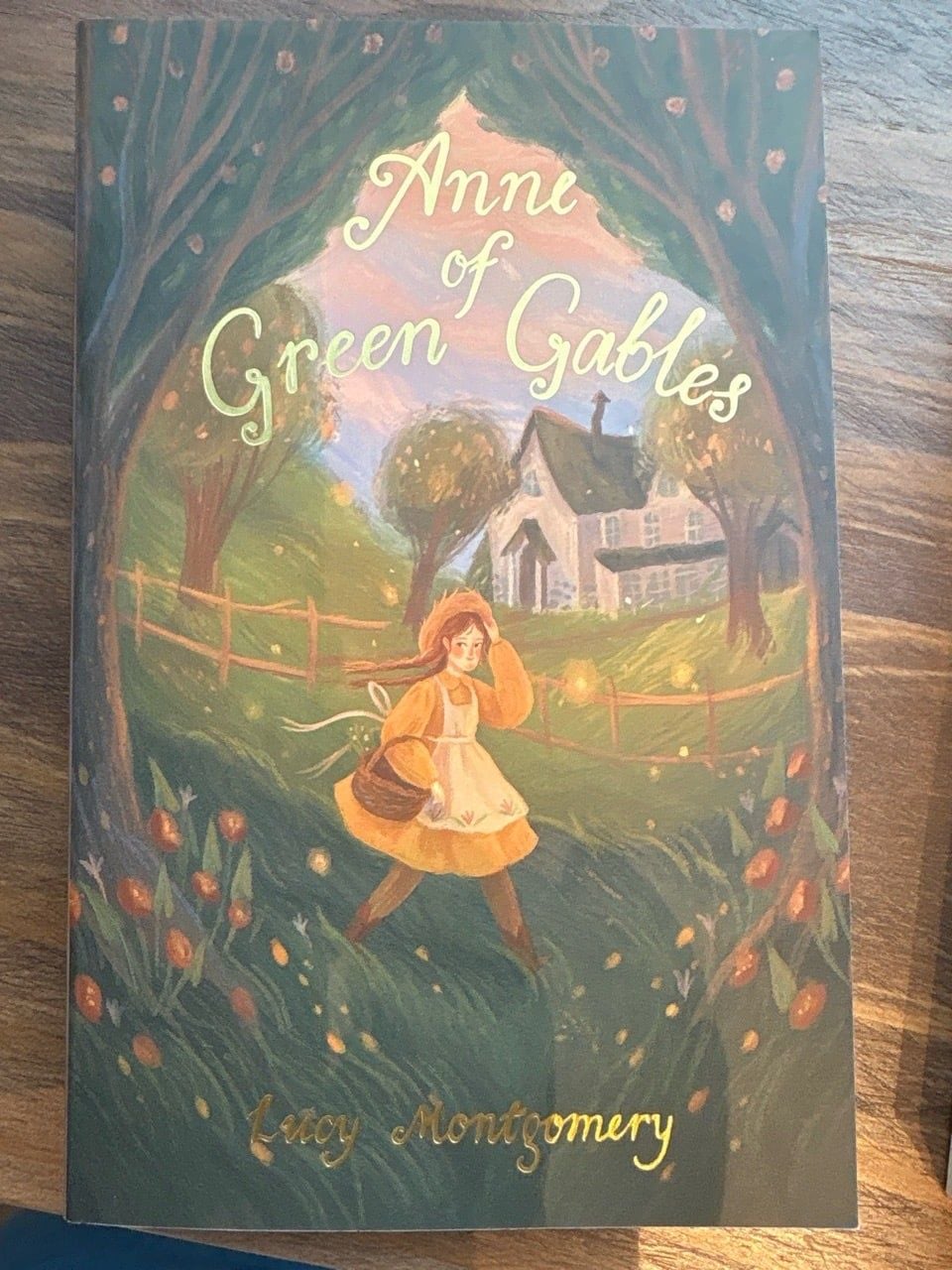 Anne of Green Gables & Anne of Avonlea - Sách Tiếng Anh Kinh Điển - Wordsworth Classics - Hình ảnh sản phẩm