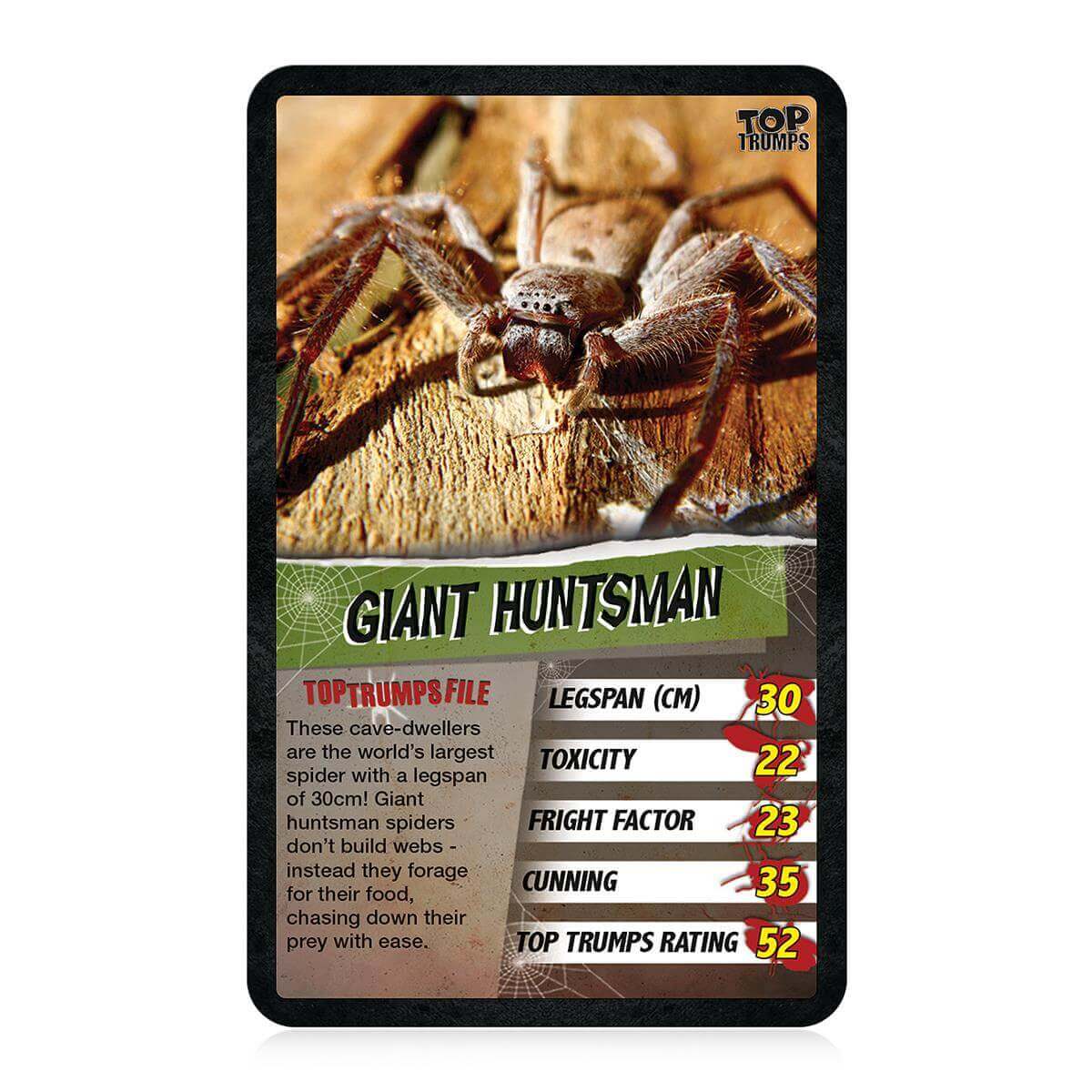 Spiders Top Trumps Card Game - Trò Chơi Thẻ Bài Giáo Dục - Winning Moves - Góc nhìn khác 3