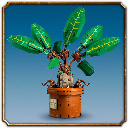 LEGO® Harry Potter™ Mandrake - Mô hình Cây Nhân Sâm LEGO 76433 LEGO - ảnh 2 - Đồ chơi lắp ráp