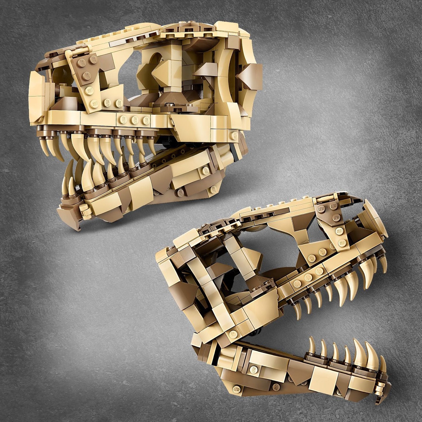 LEGO® Jurassic World™ Dinosaur Fossils: T. rex Skull - Đồ Chơi Lắp Ráp Mô Hình Đầu Lâu Khủng Long LEGO 76964 - Hình ảnh bổ sung 5