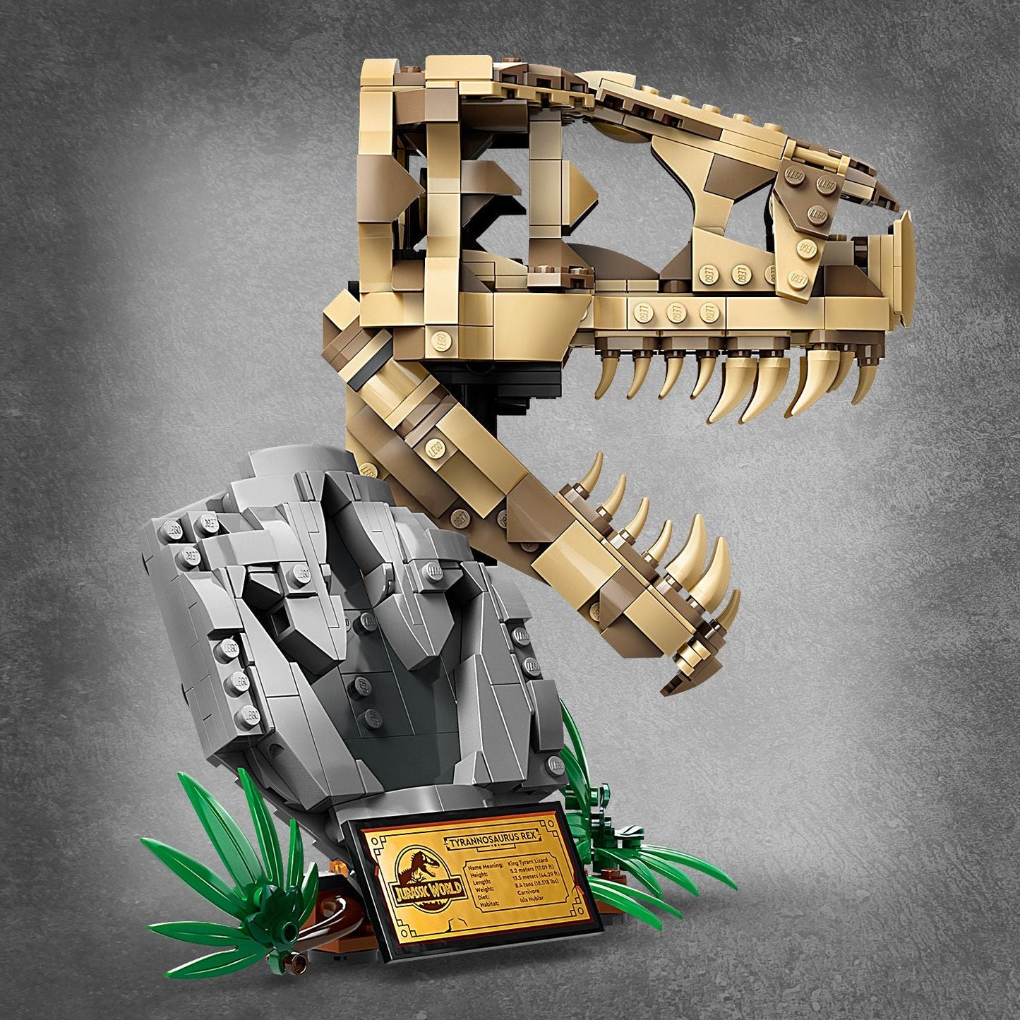 LEGO® Jurassic World™ Dinosaur Fossils: T. rex Skull - Đồ Chơi Lắp Ráp Mô Hình Đầu Lâu Khủng Long LEGO 76964 - Hình ảnh bổ sung 7