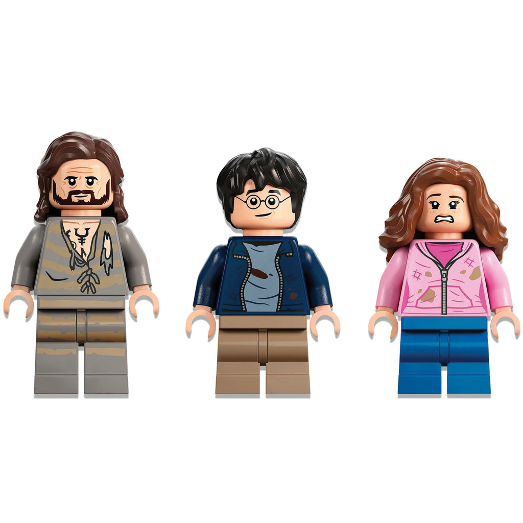 LEGO® Harry Potter™ Hogwarts™ Courtyard: Sirius’s Rescue - Đồ Chơi Lắp Ráp Cuộc Giải Cứu Sirius - LEGO 76401 - Hình ảnh bổ sung 7