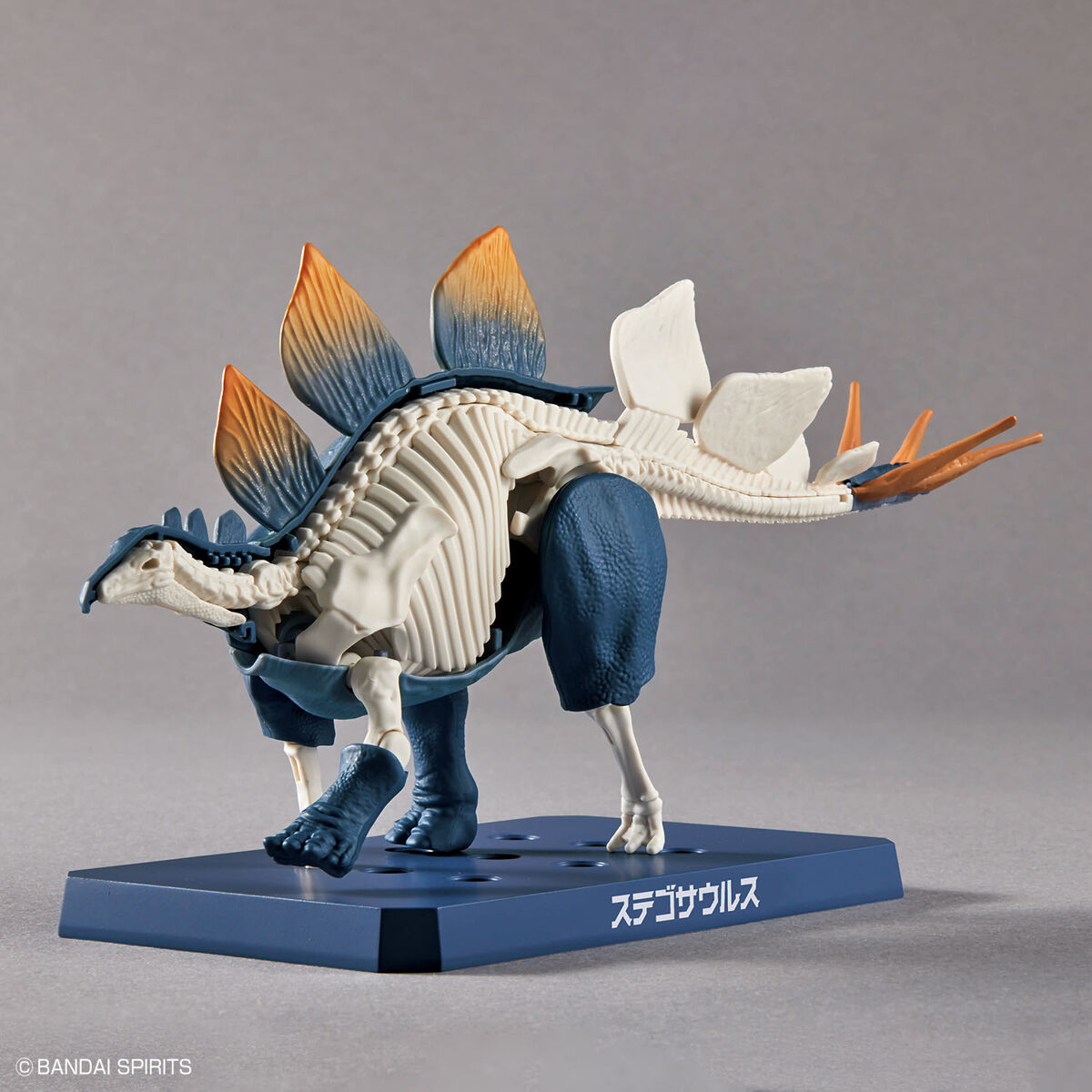 PLANNOSAURUS Stegosaurus - Mô hình lắp ráp khủng long - BANDAI MODEL KIT