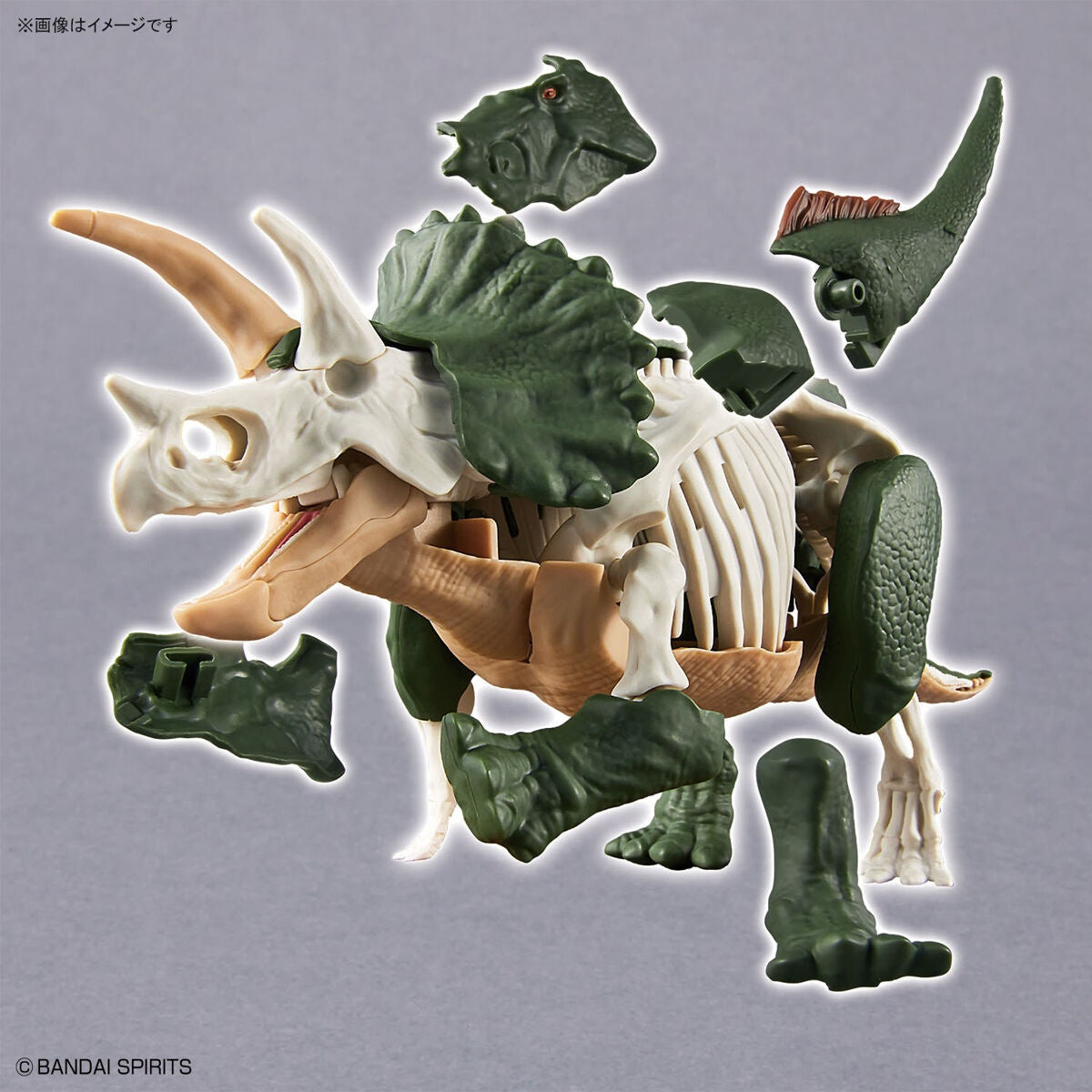 PLANNOSAURUS Triceratops - Mô hình lắp ráp khủng long - Bandai Model Kit