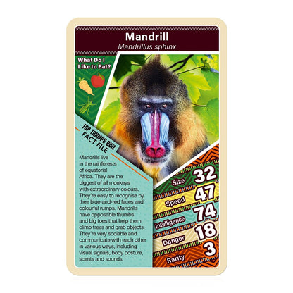 African Wildlife Top Trumps Card Game - Trò chơi thẻ bài khám phá động vật Châu Phi - Top Trumps - Góc nhìn khác 3