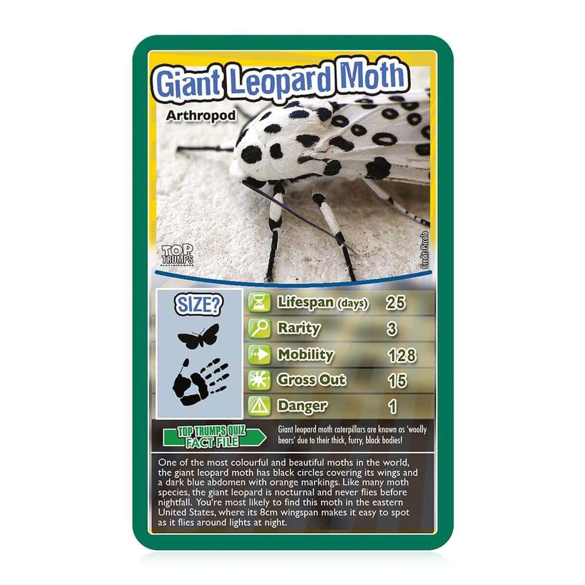 Bugs Top Trumps Card Game - Trò chơi thẻ bài côn trùng - Winning Moves - Hình ảnh bổ sung 4