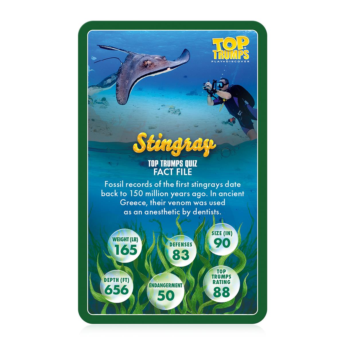Sealife in Danger Top Trumps Card Game - Trò Chơi Thẻ Bài Sinh Vật Biển - Winning Moves - Hình ảnh bổ sung 4