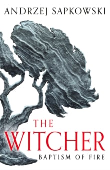 The Witcher : Baptism Of Fire