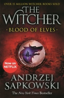 The Witcher: Blood Of Elves