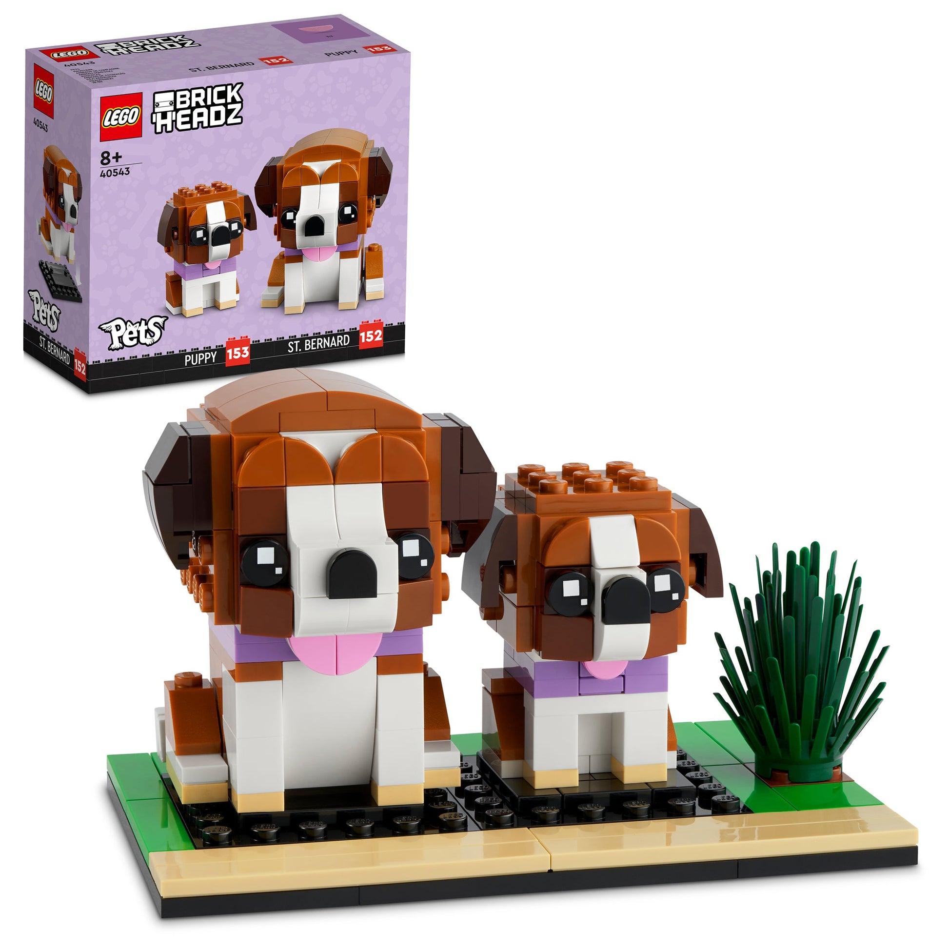 LEGO® BrickHeadz™ St. Bernard - Bộ Lắp Ráp Chó Cứu Hộ LEGO 40543 - Hình ảnh bổ sung 9