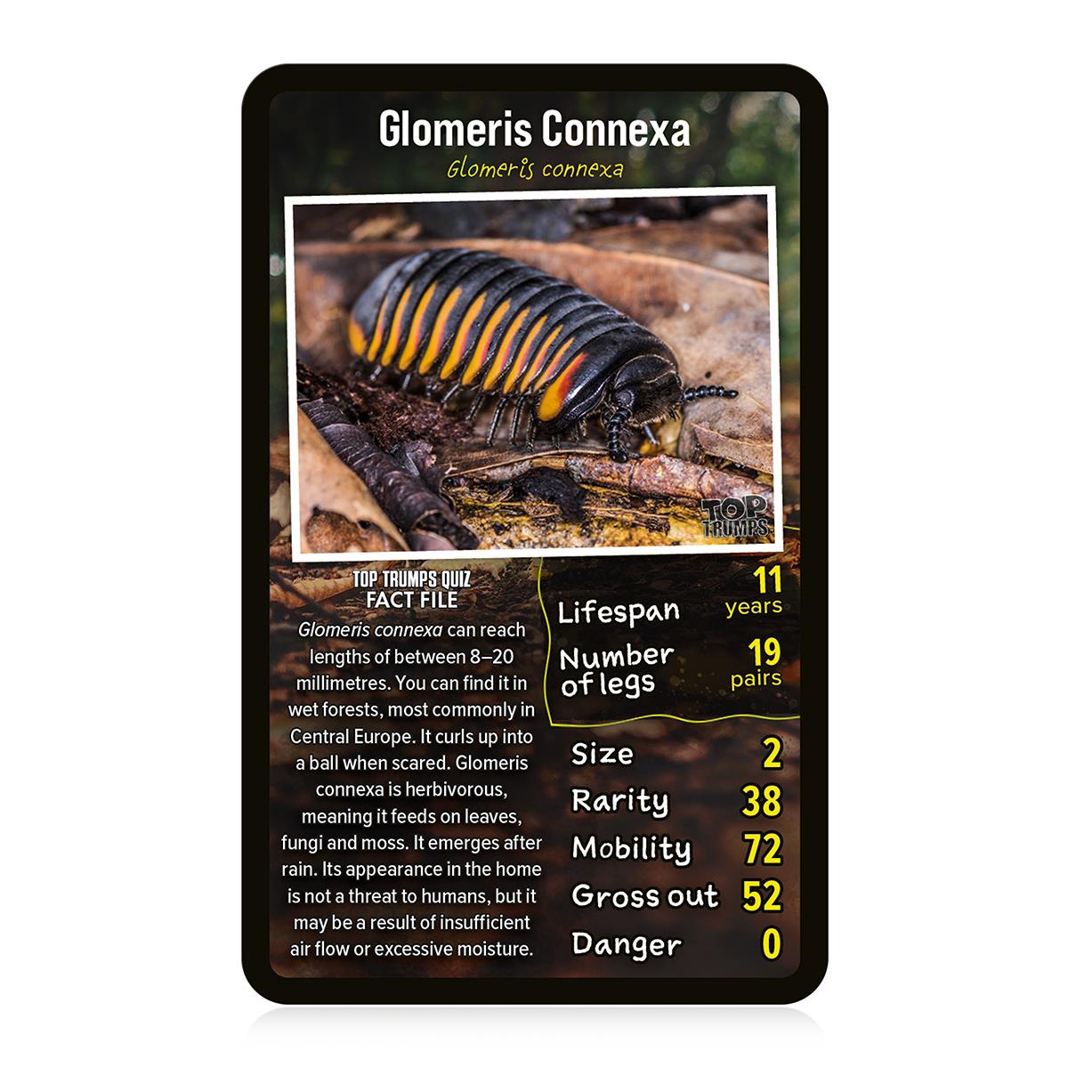 Creepy Crawlies Top Trumps Card Game - Trò Chơi Thẻ Bài Giáo Dục Côn Trùng - Winning Moves - Góc nhìn khác 3