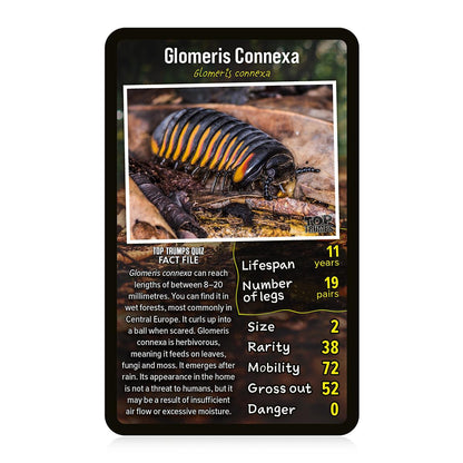 Creepy Crawlies Top Trumps Card Game - Trò Chơi Thẻ Bài Giáo Dục Côn Trùng - Winning Moves - Góc nhìn khác 3