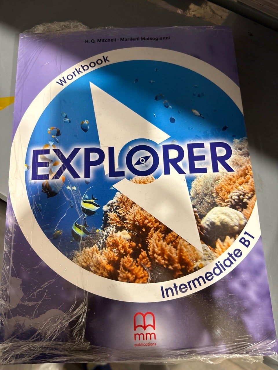 Explorer Intermediate Wb (Br)