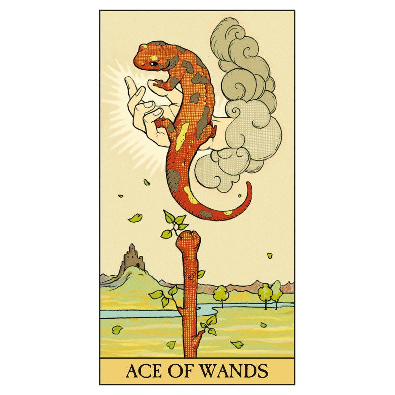 After Tarot - Bộ Bài Cách Mạng Từ Chuẩn Rider Waite Smith