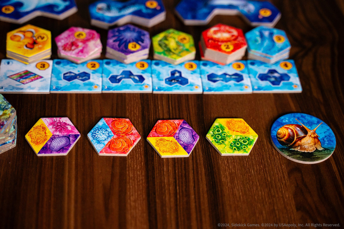 AQUA - Board Game Chiến Thuật Xây Dựng Hệ Sinh Thái Đại Dương - The Op Games