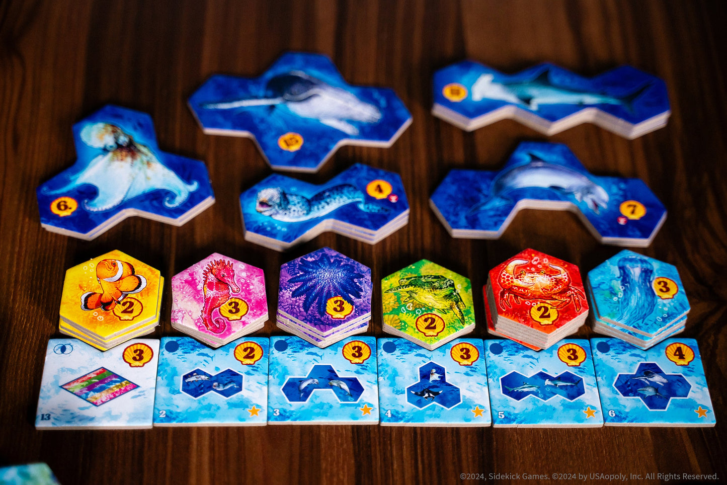 AQUA - Board Game Chiến Thuật Xây Dựng Hệ Sinh Thái Đại Dương - The Op Games