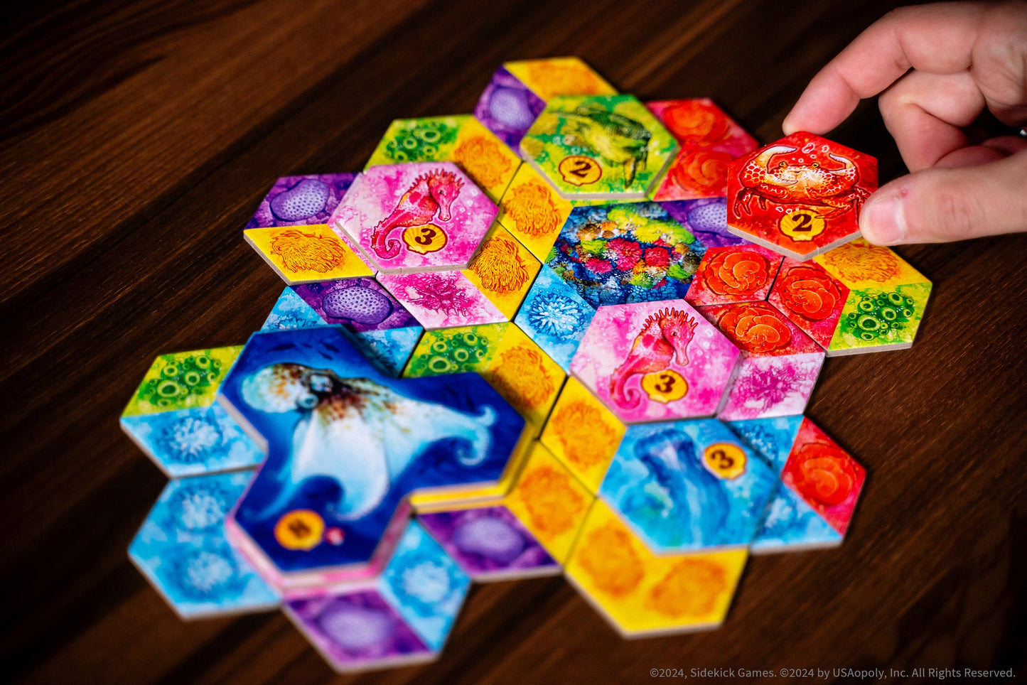 AQUA - Board Game Chiến Thuật Xây Dựng Hệ Sinh Thái Đại Dương - The Op Games