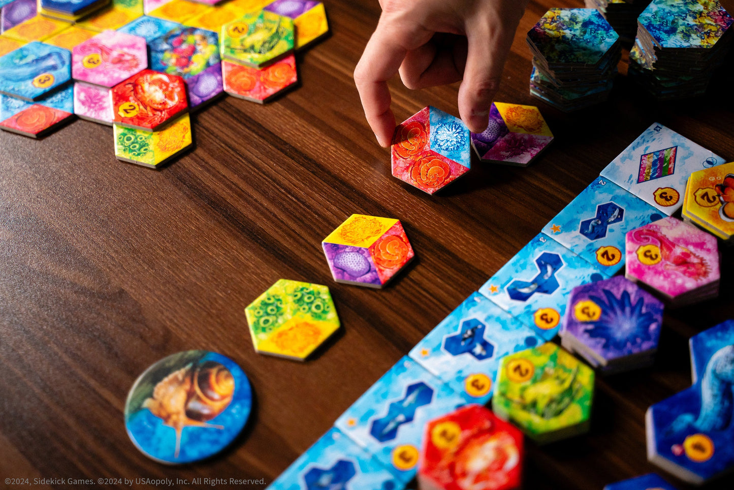 AQUA - Board Game Chiến Thuật Xây Dựng Hệ Sinh Thái Đại Dương - The Op Games