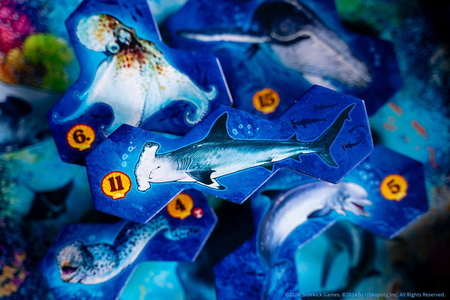 AQUA - Board Game Chiến Thuật Xây Dựng Hệ Sinh Thái Đại Dương - The Op Games