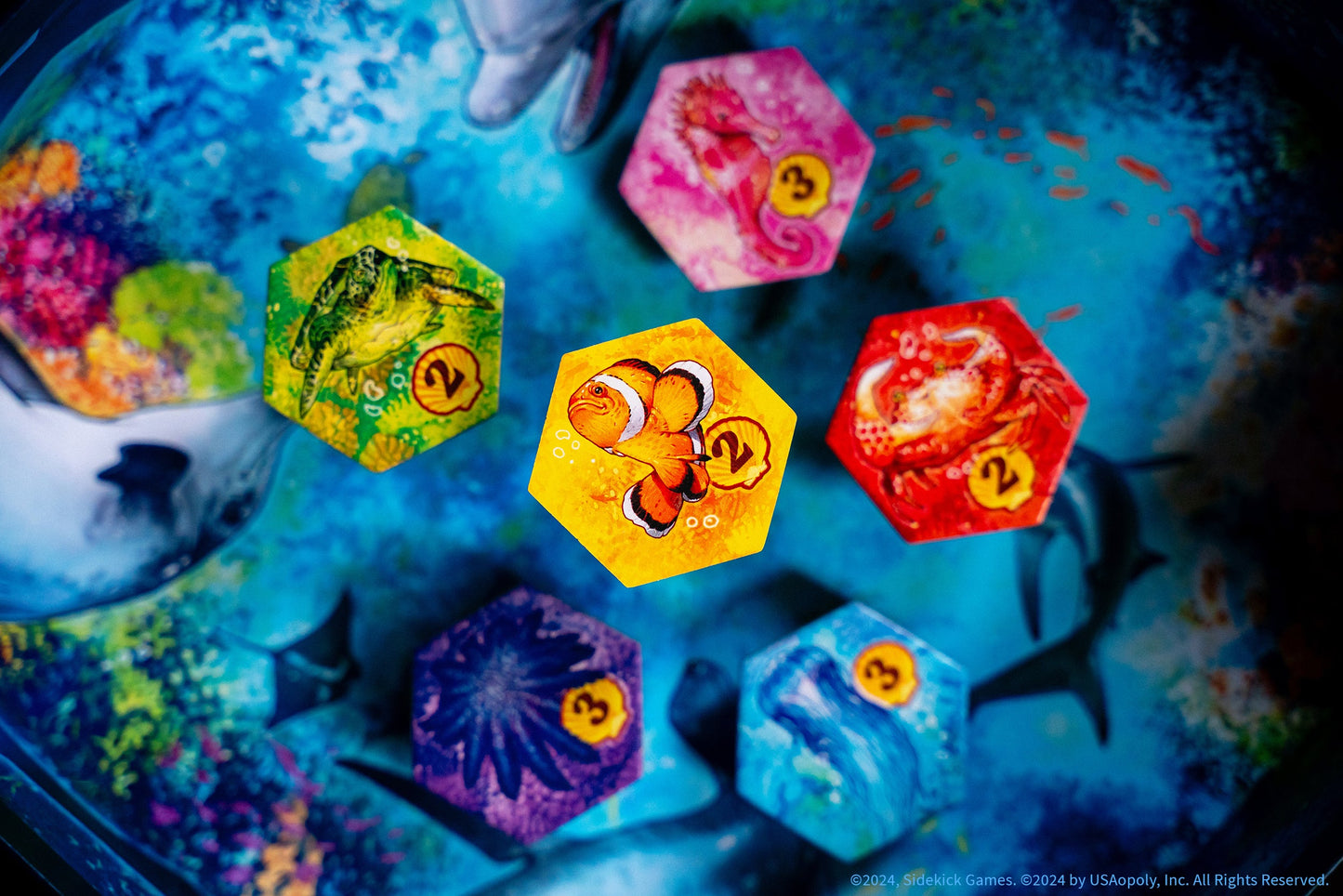 AQUA - Board Game Chiến Thuật Xây Dựng Hệ Sinh Thái Đại Dương - The Op Games