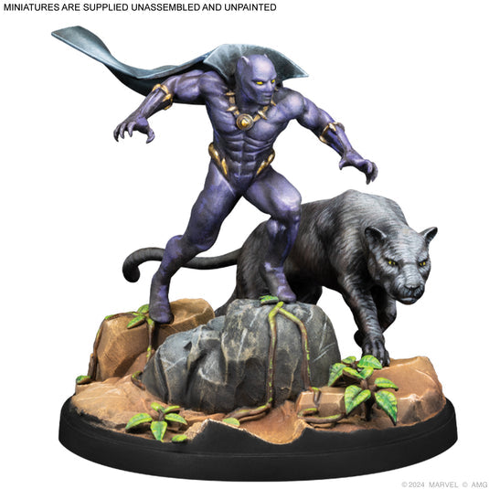 Marvel: Crisis Protocol - Black Panther, Chosen of Bast & Namor, the Sub-Mariner | Bộ Mở Rộng Board Game Chiến Thuật | Atomic Mass Games - Góc nhìn khác 3