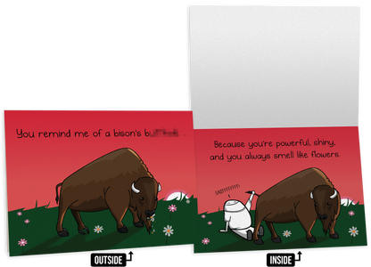 NSFW Friendship Greeting Card Bundle - 4 pack