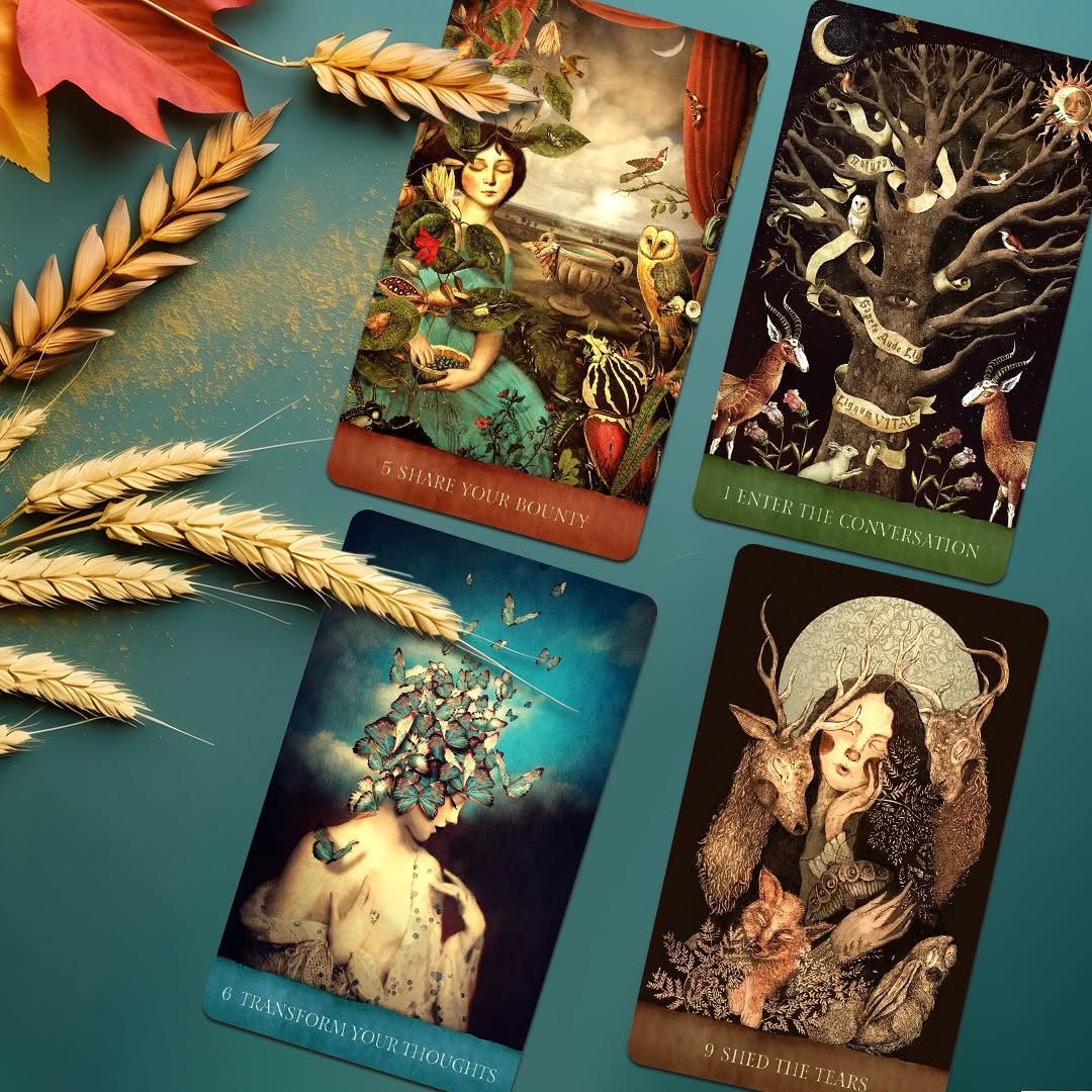 Bộ Bài Dream Song Oracle