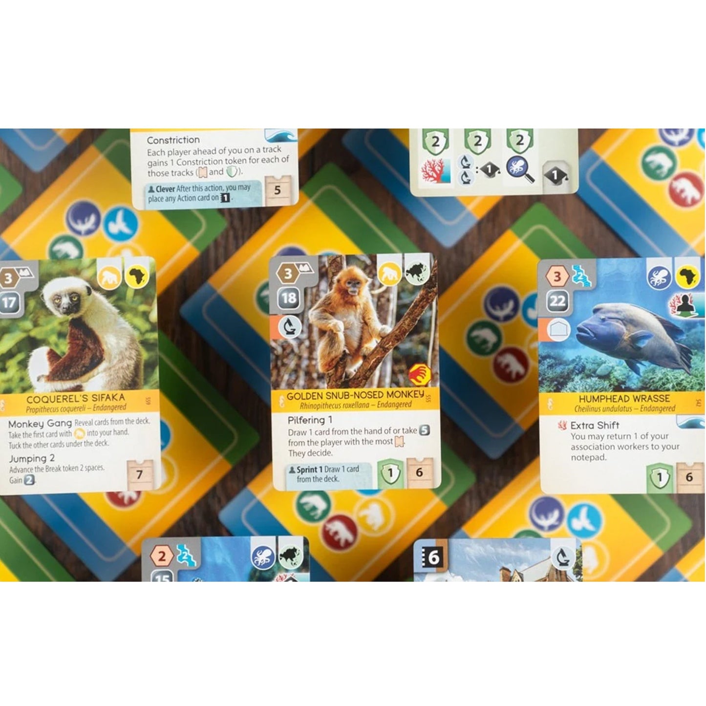 Ark Nova: Marine Worlds Board Game Expansion