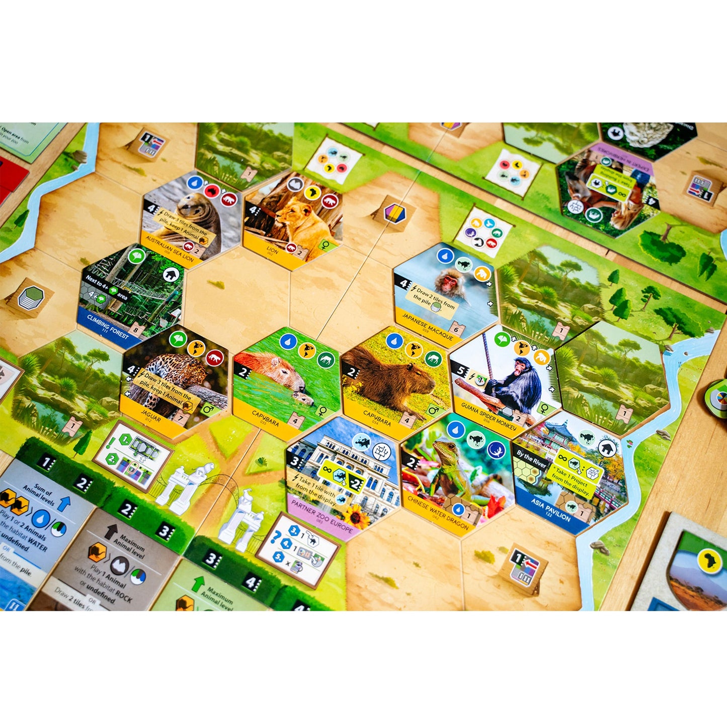 Sanctuary Board Game