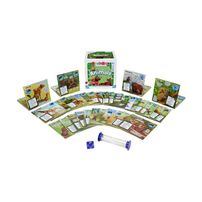 BrainBox Animals Card Game - Trò chơi thẻ bài rèn luyện trí nhớ - Bezzerwizzer