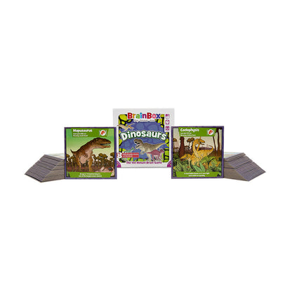 BrainBox Dinosaurs Card Game - Trò chơi thẻ bài luyện trí nhớ - Bezzerwizzer