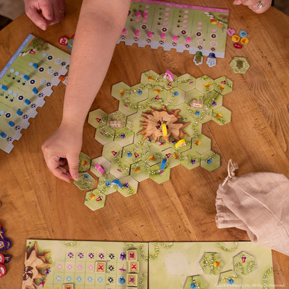 Gnome Hollow - Trò chơi chiến thuật Eurogame - The Op Games