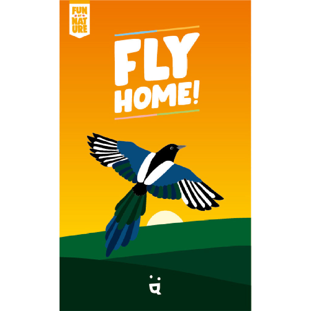 Fly Home! Card Game - Trò chơi quan sát và trí nhớ - Helvetiq