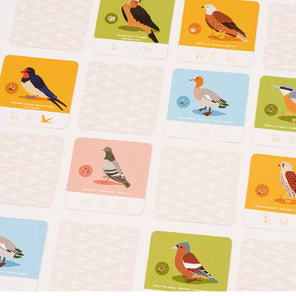 Fly Home! Card Game - Trò chơi quan sát và trí nhớ - Helvetiq