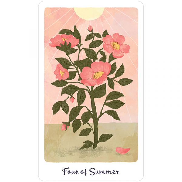 Bộ Bài Harmony Tarot - Chan Hòa Cùng Vũ Trụ