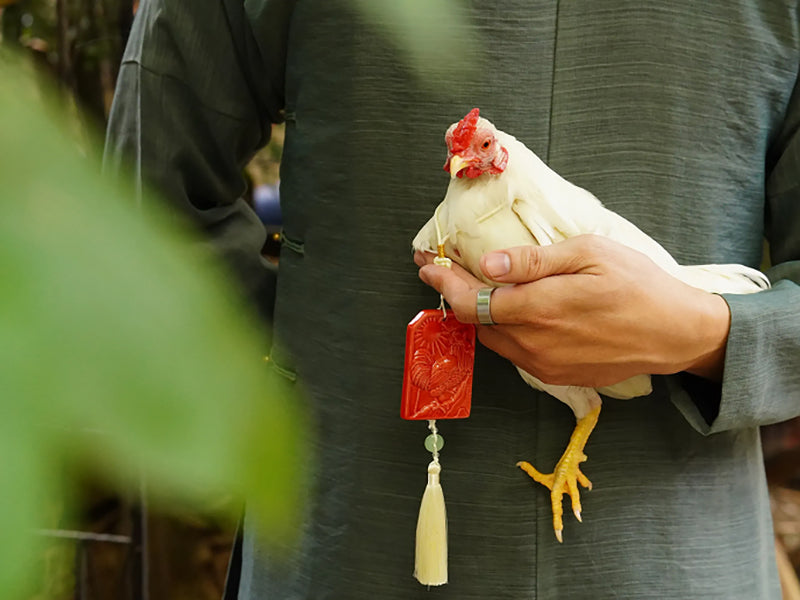 Hộ Giáp Thạch Bội
