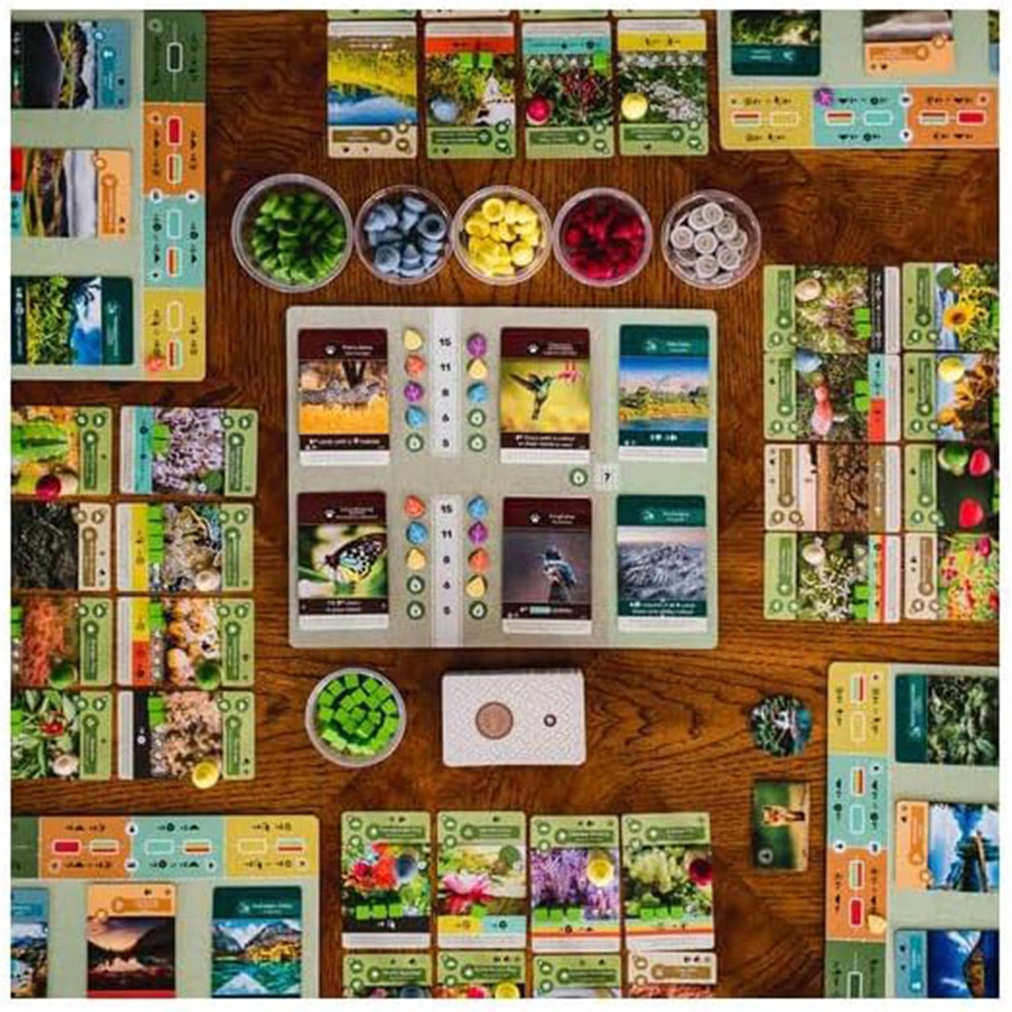 Earth Board Game - Trò chơi board game xây dựng hệ sinh thái - Inside Up Games - Góc nhìn khác 3