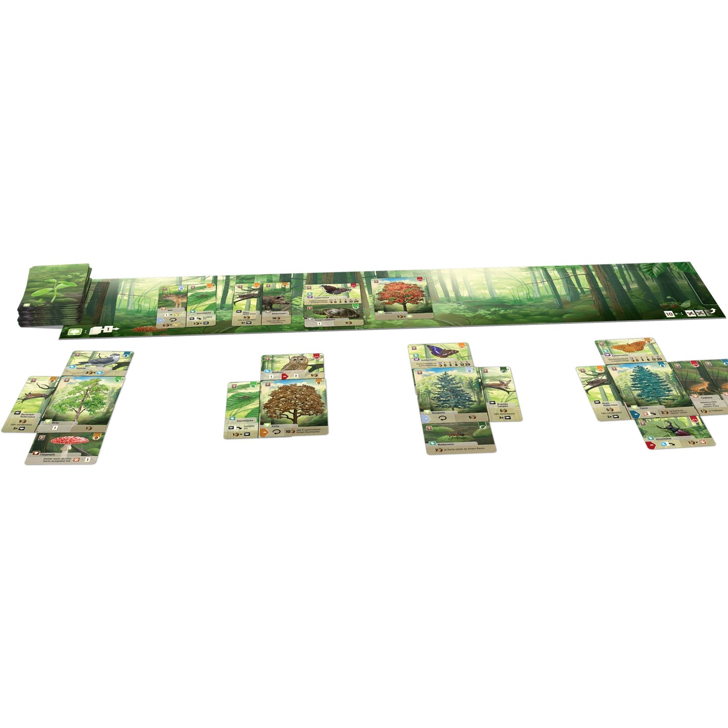 Forest Shuffle Card Game - Trò chơi thẻ bài xây dựng hệ sinh thái - Lookout Games