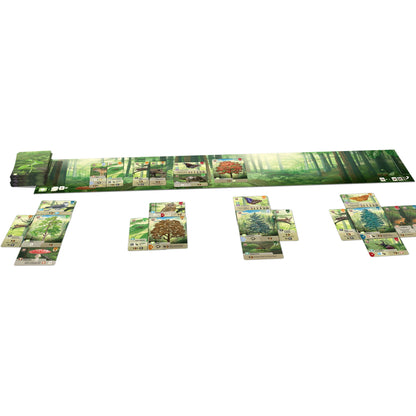 Forest Shuffle Card Game - Trò chơi thẻ bài xây dựng hệ sinh thái - Lookout Games