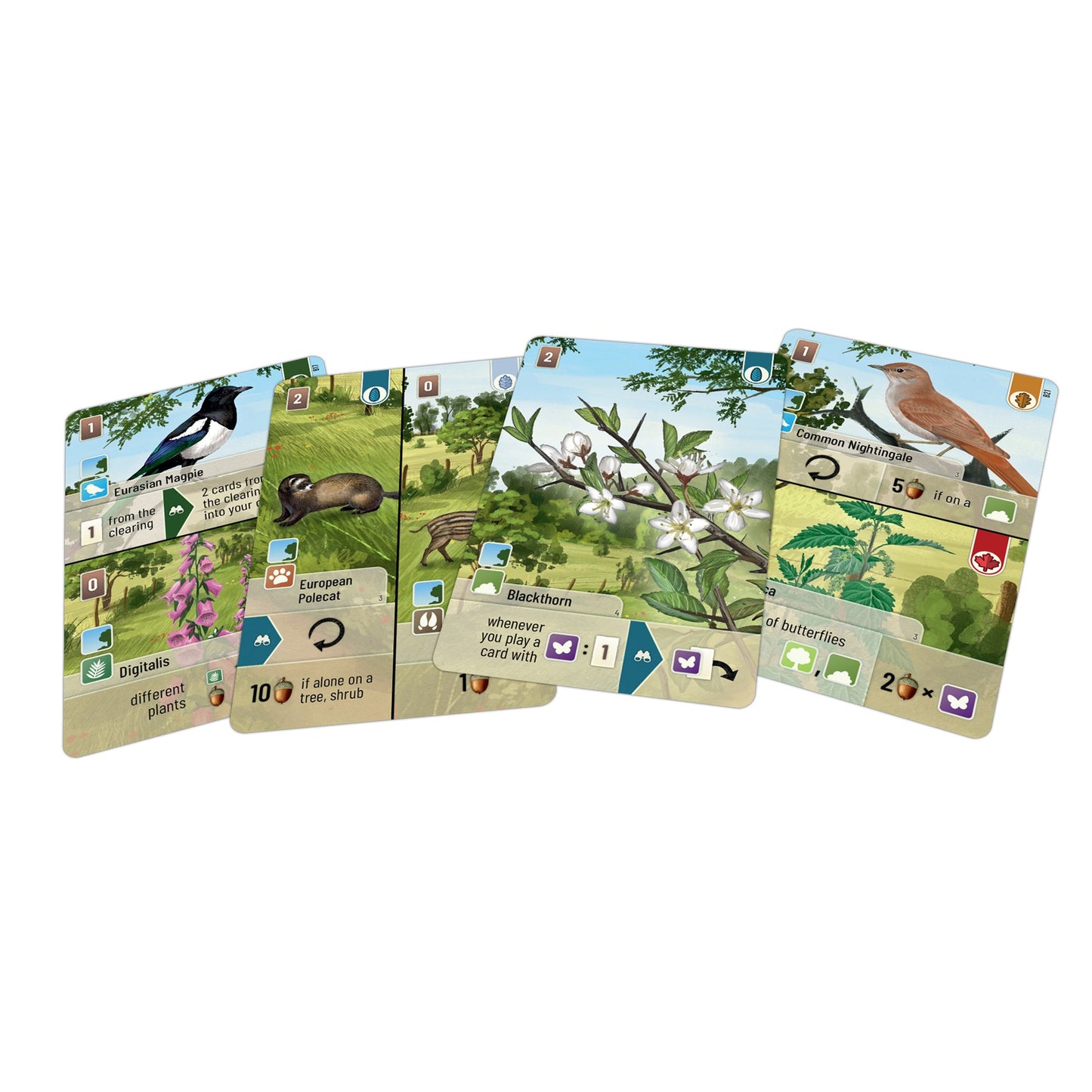 Forest Shuffle: Woodland Edge Card Game Expansion - Bản mở rộng Board game - Lookout Games