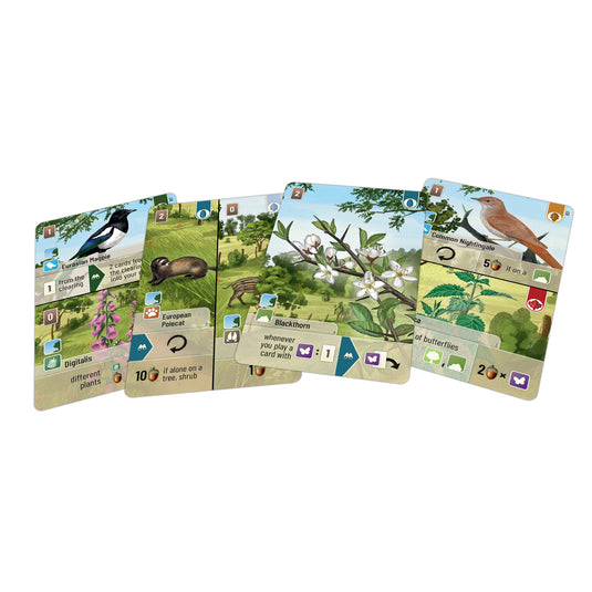 Forest Shuffle: Woodland Edge - Bản Mở Rộng Board Game